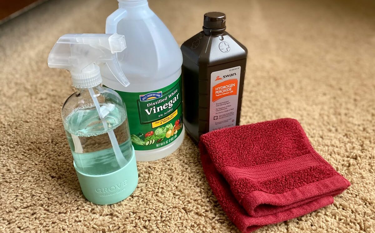 How To Make Deep Clean Carpet Cleaner? QueenBee Cleaning