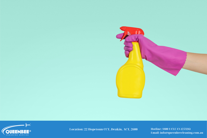 Homemade Cleaner #1: Vinegar Spray